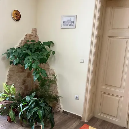 بيت شباب Rayska Yabalka *